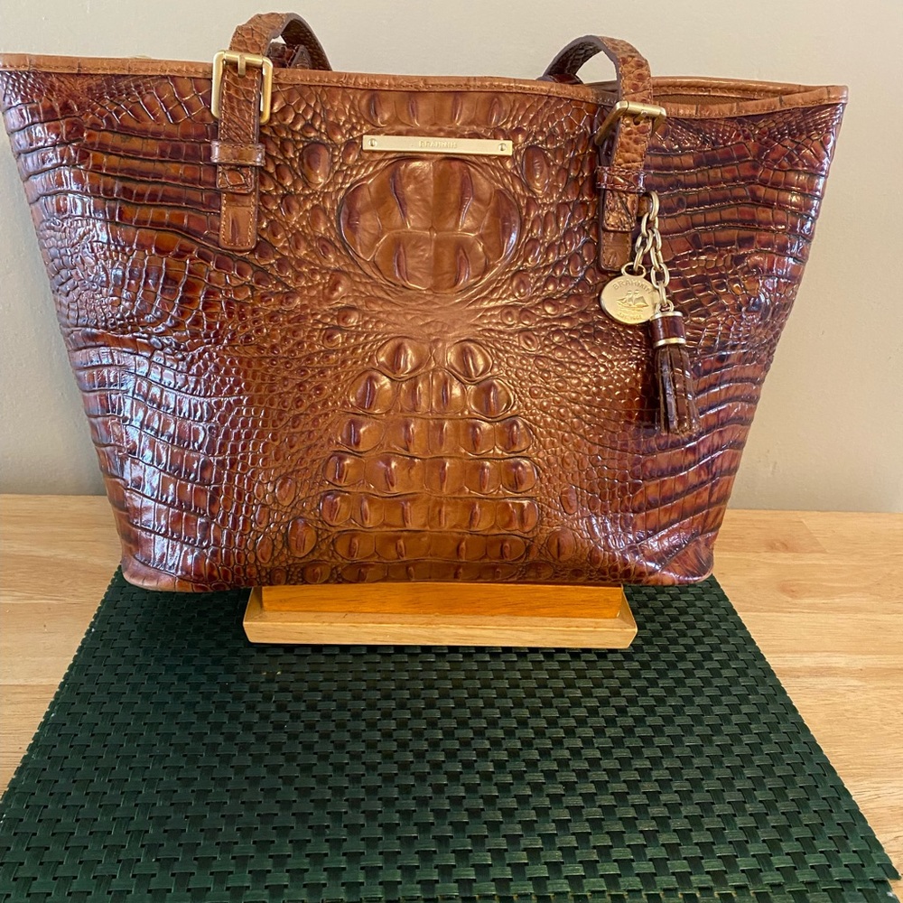 Brahmin Medium Asher